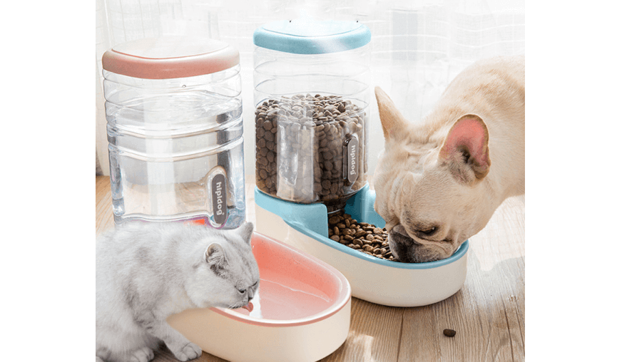 Want an Auto Pet Feeder? Everything you should know about them